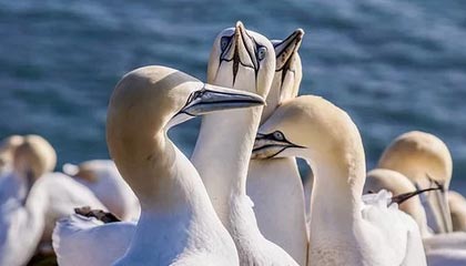 乐鱼电竞-智能穿戴设备在青少年体育锻炼中的应用，智能穿戴项目