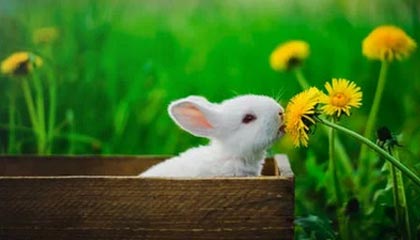 LeyuSports-张伟丽在体能训练中完成高难挑战，张伟丽平时训练视频