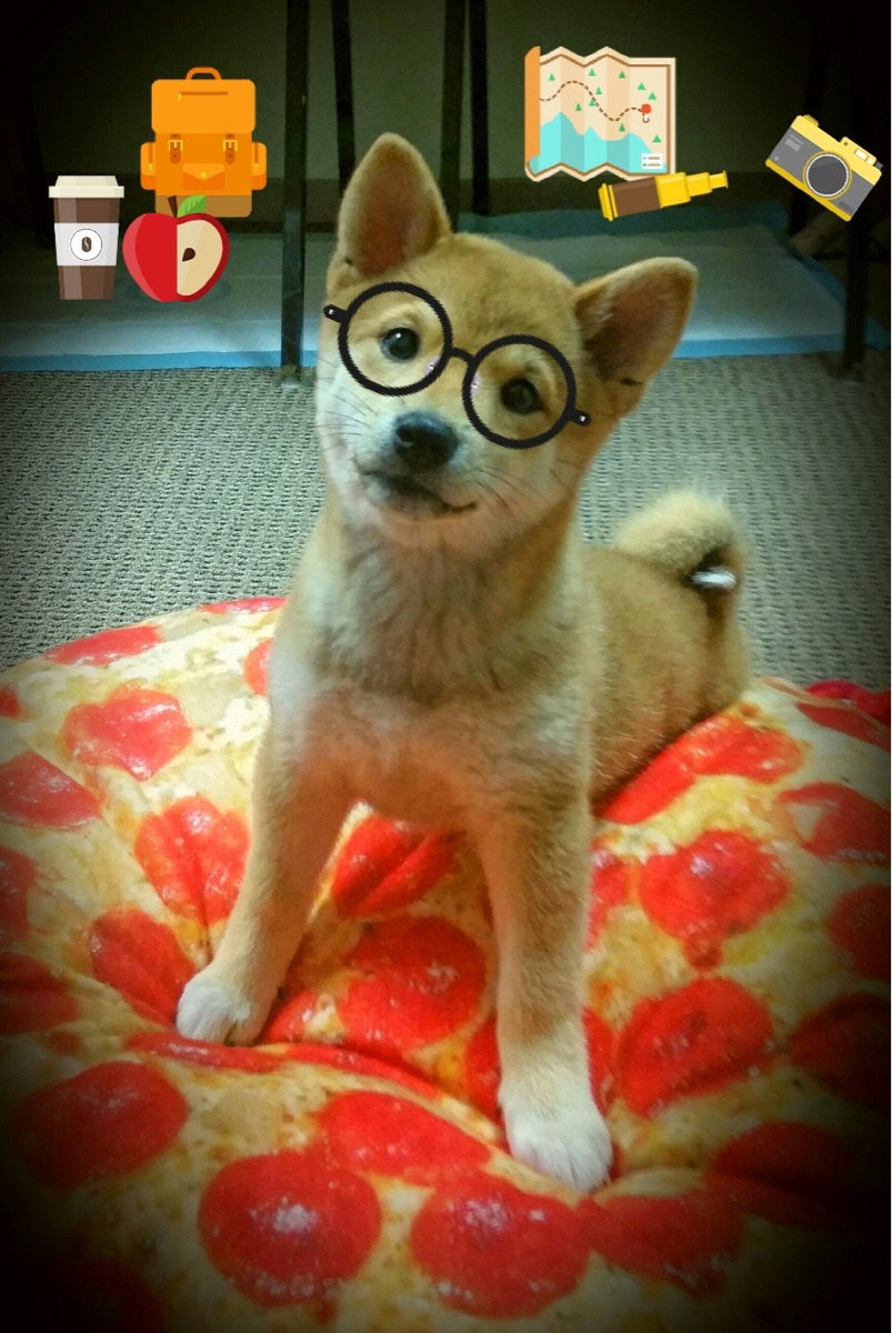 _青少年运动会：培养未来体育明星_，青少年体育运动员