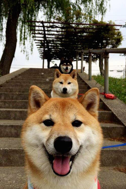 “中国女足战胜强敌，国际排名持续上升”，中国女足世界排名上升了