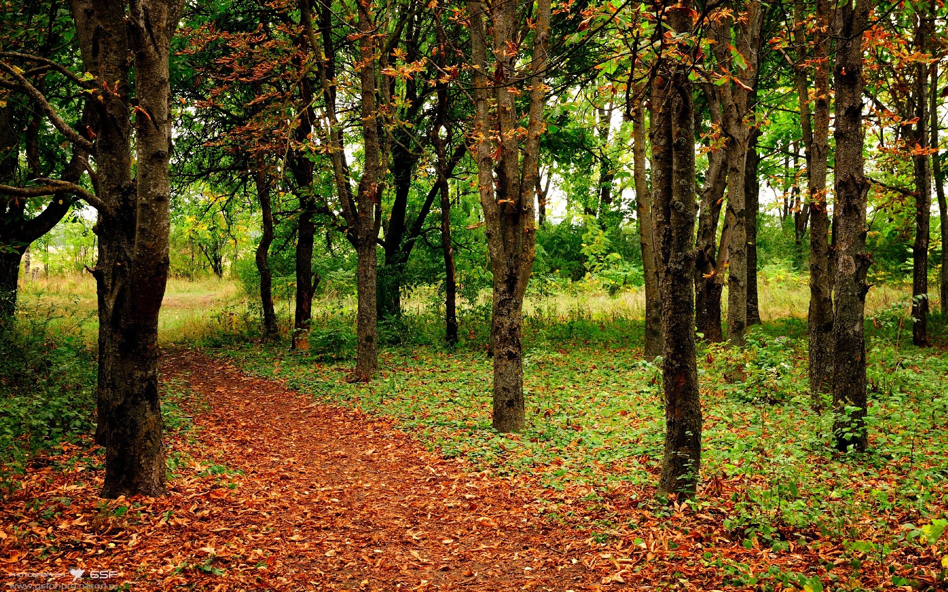 乐鱼体育平台官网-下个赛站：阿布扎比大奖赛的看点汇总，阿布扎比锦标赛