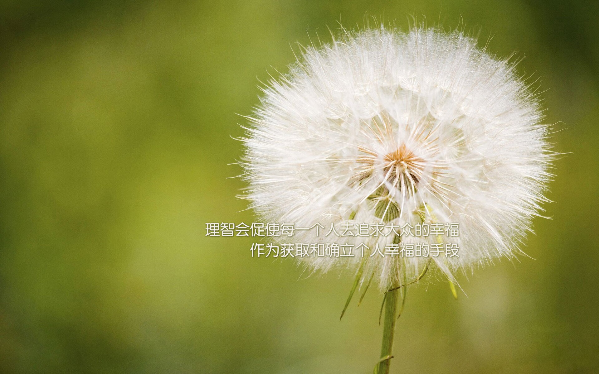 leyu乐鱼在线登录入口-中超联赛观众人数回升，球迷热情高涨，中超联赛 观众