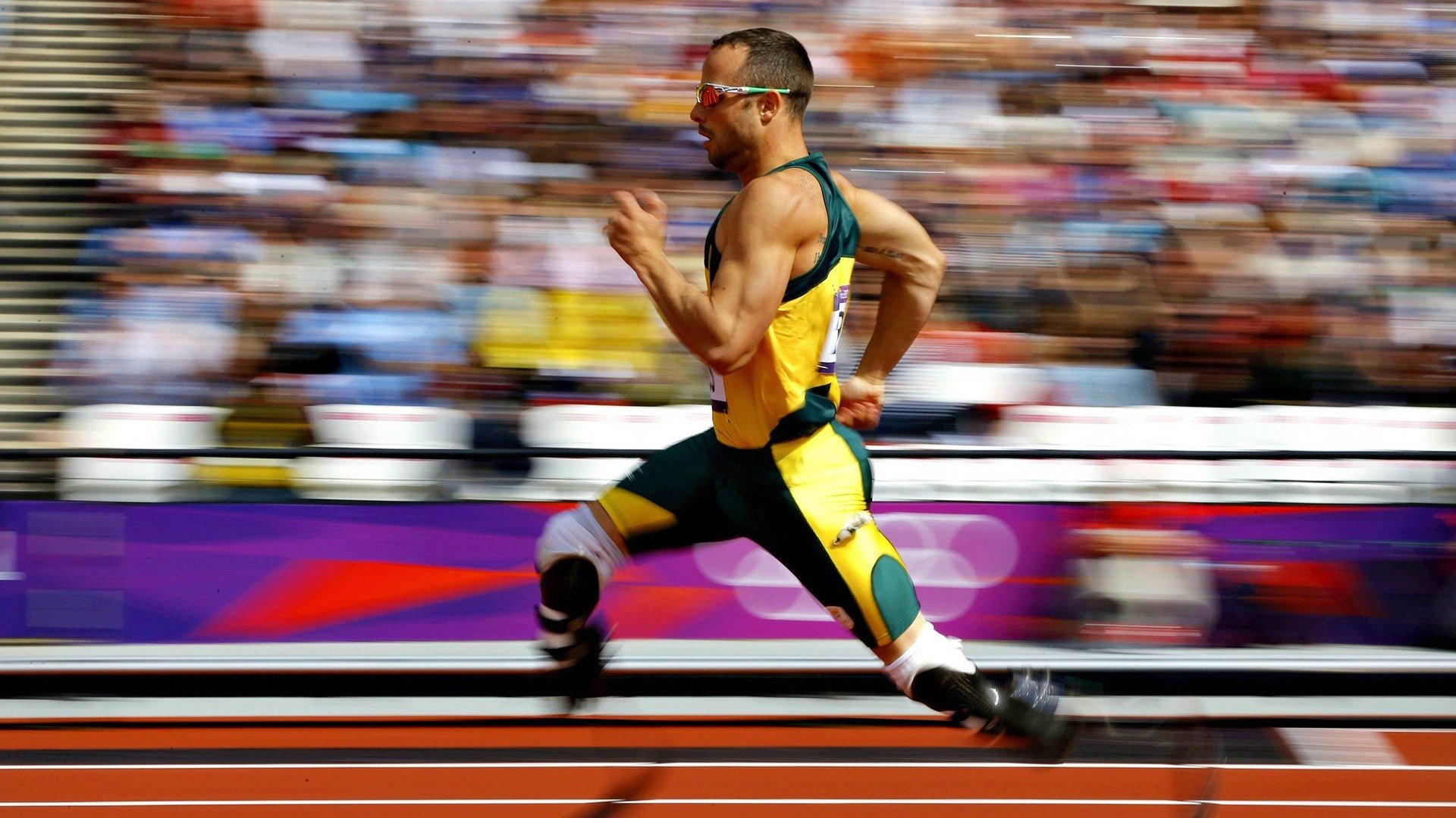 克罗地亚马术协会与亚洲马术协会建立合作关系,推动区域发展。