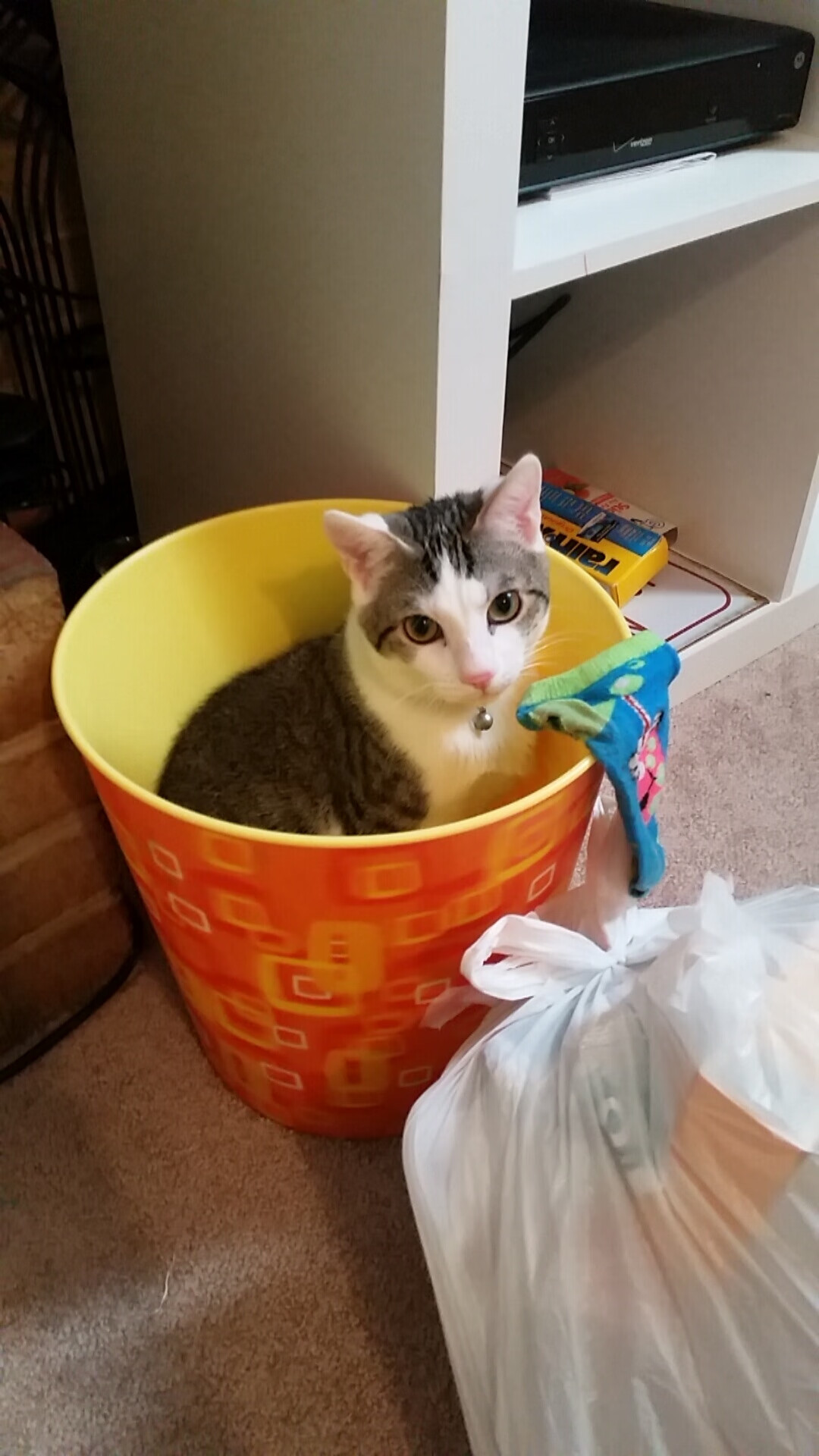 Leyu Sport下载-天气预报影响中超比赛，赛程调整引关注，中超预测今天