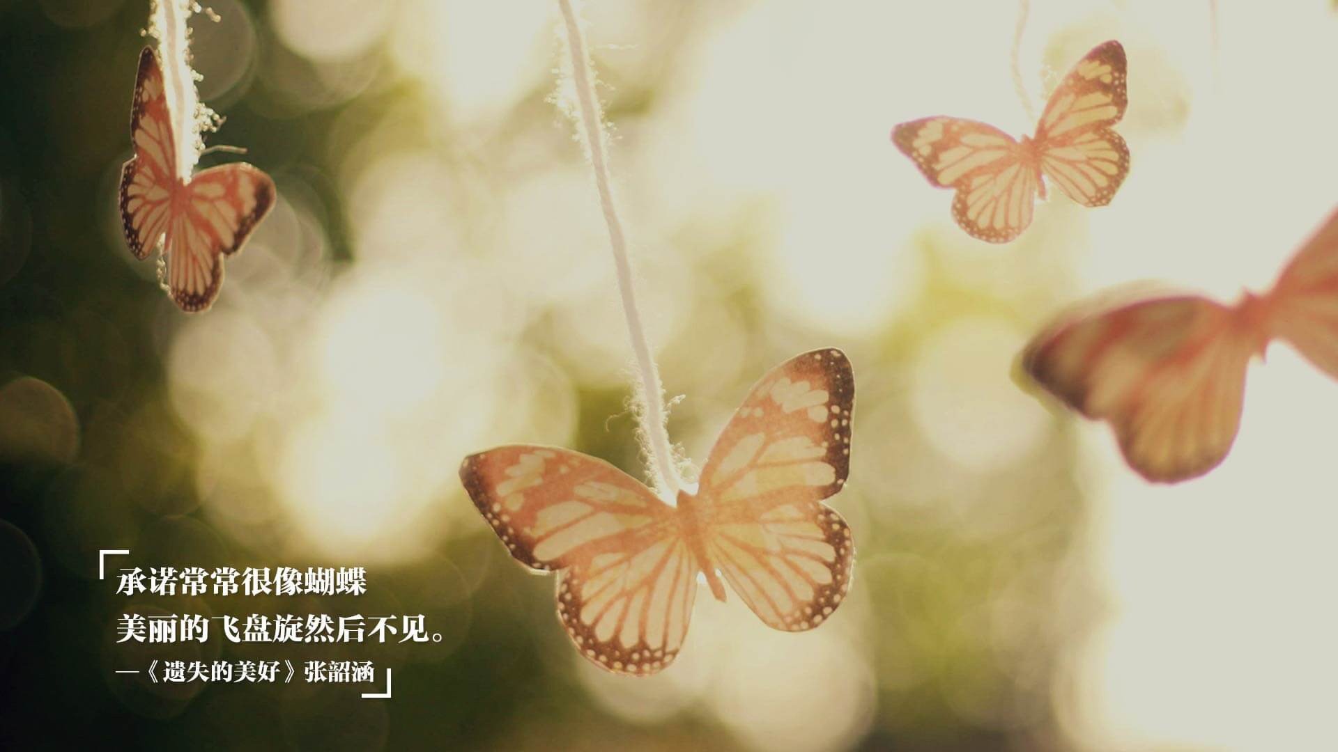 数字化管理平台:提升中国篮球比赛效率与公正,篮球大数据平台中国篮协