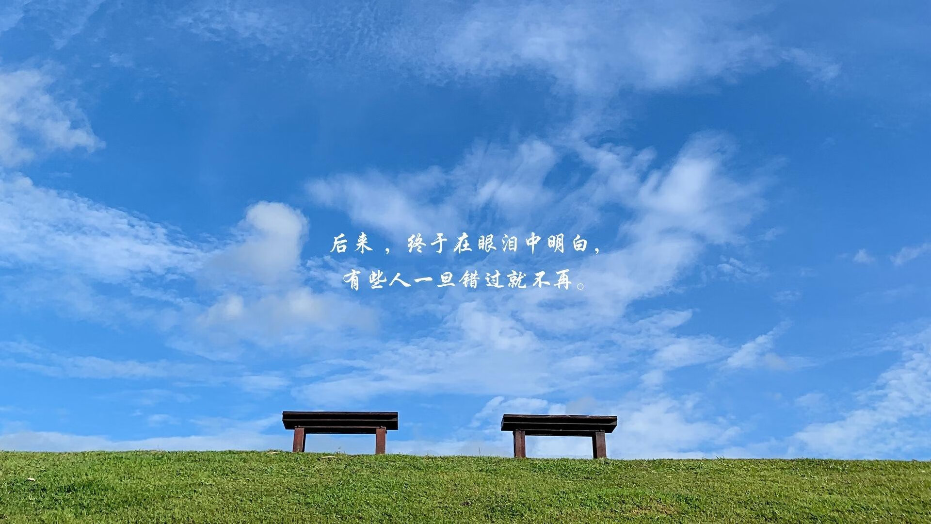 未来“欧洲新星”闪耀崛起，谁能成为下一代领跑者？，欧洲未来会变成什么样