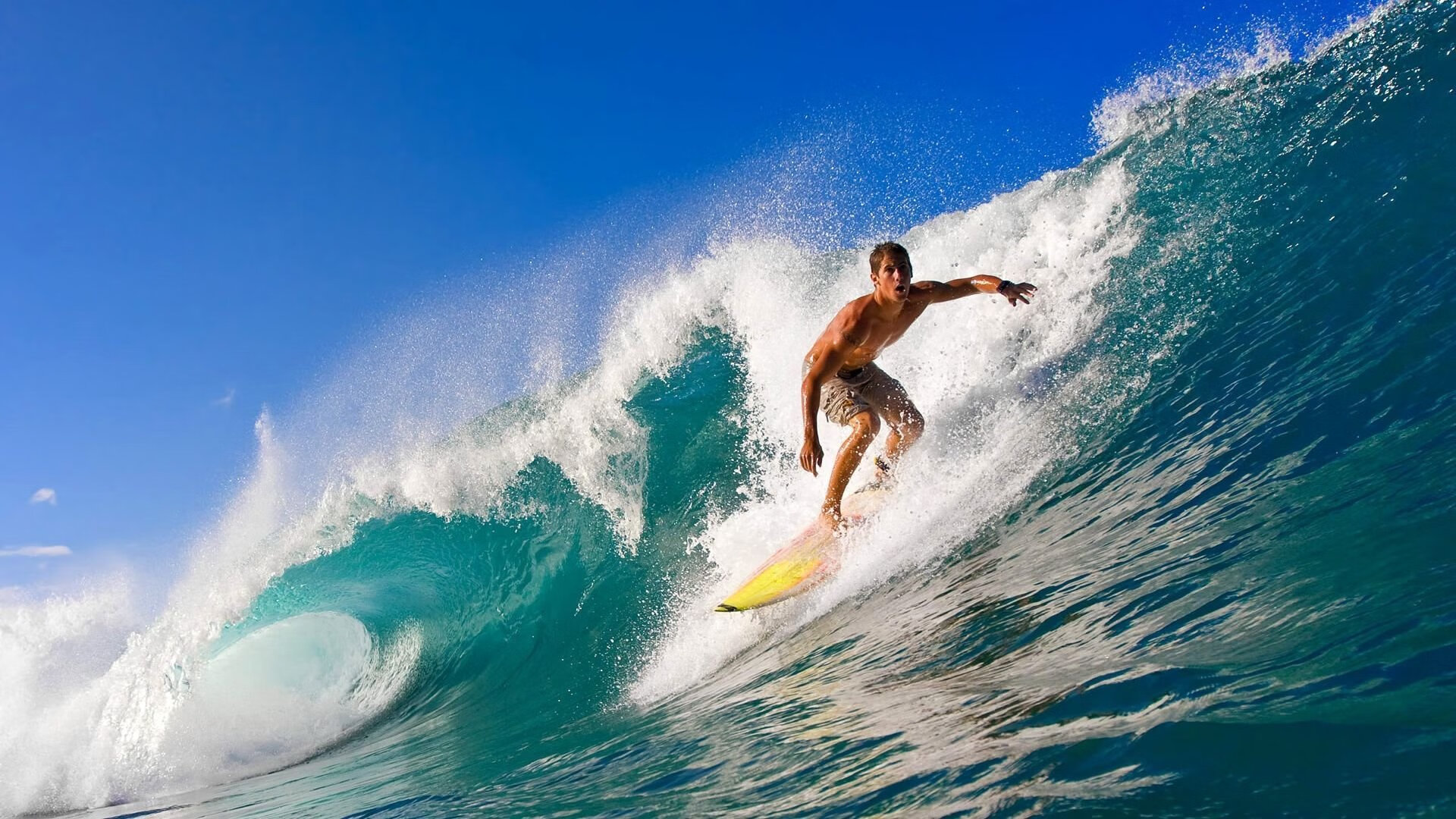 leyu乐鱼在线登录入口-球场“铁墙防线”：欧洲最佳后防线揭秘，欧洲最强防线