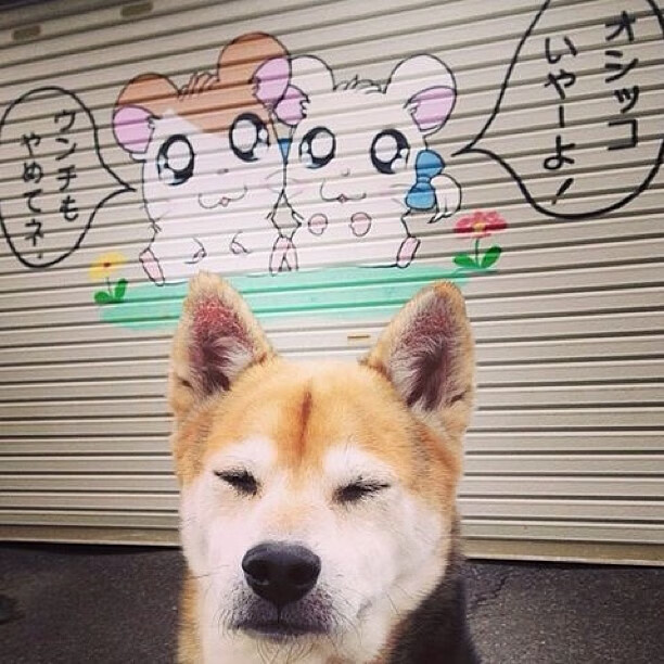 leyu.com-莱美推出全新普拉提课程LESMILLS PILATES，登陆中国市场，莱州普拉提