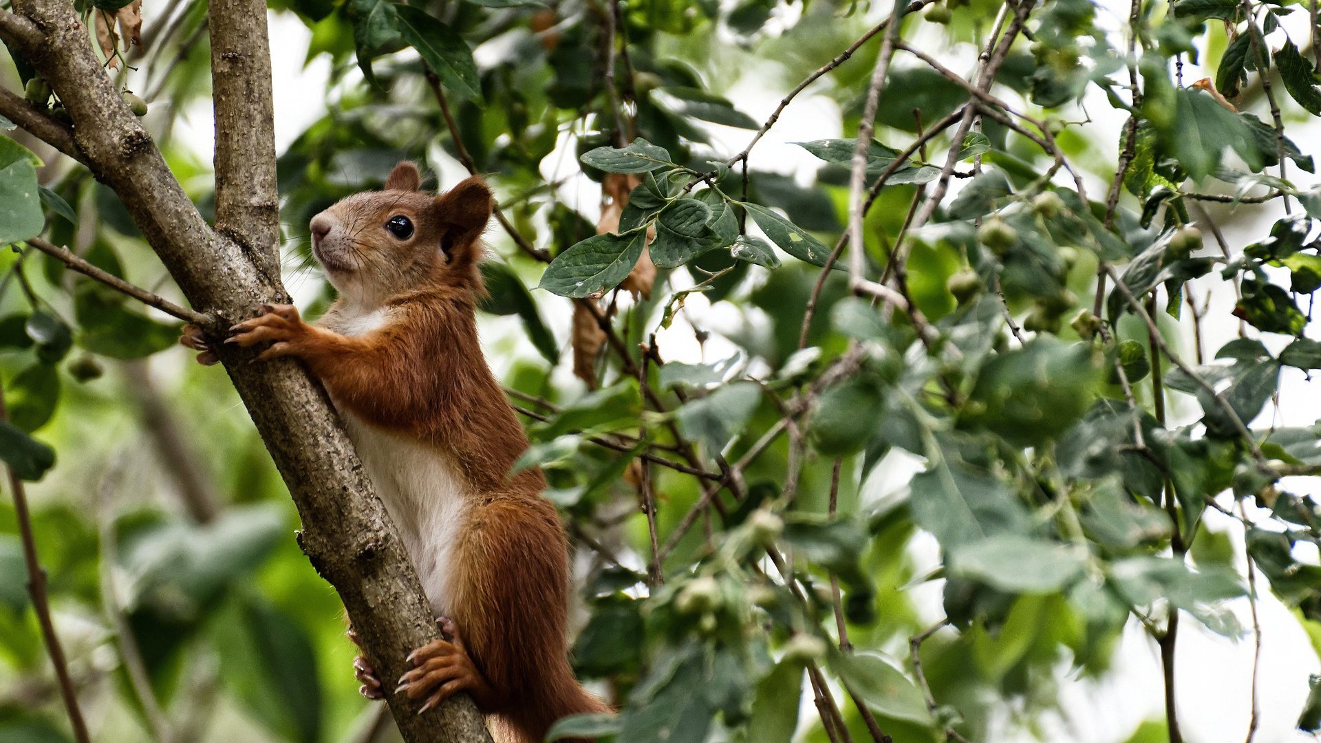 leyu乐鱼-青训优秀教练团队深耕基层，为青少年球员提供专业指导，青训球员的定义