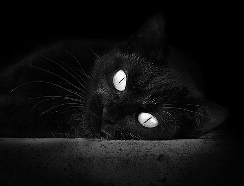 川崎前锋连续多场保持不败，川崎前锋连续多场保持不败怎么办