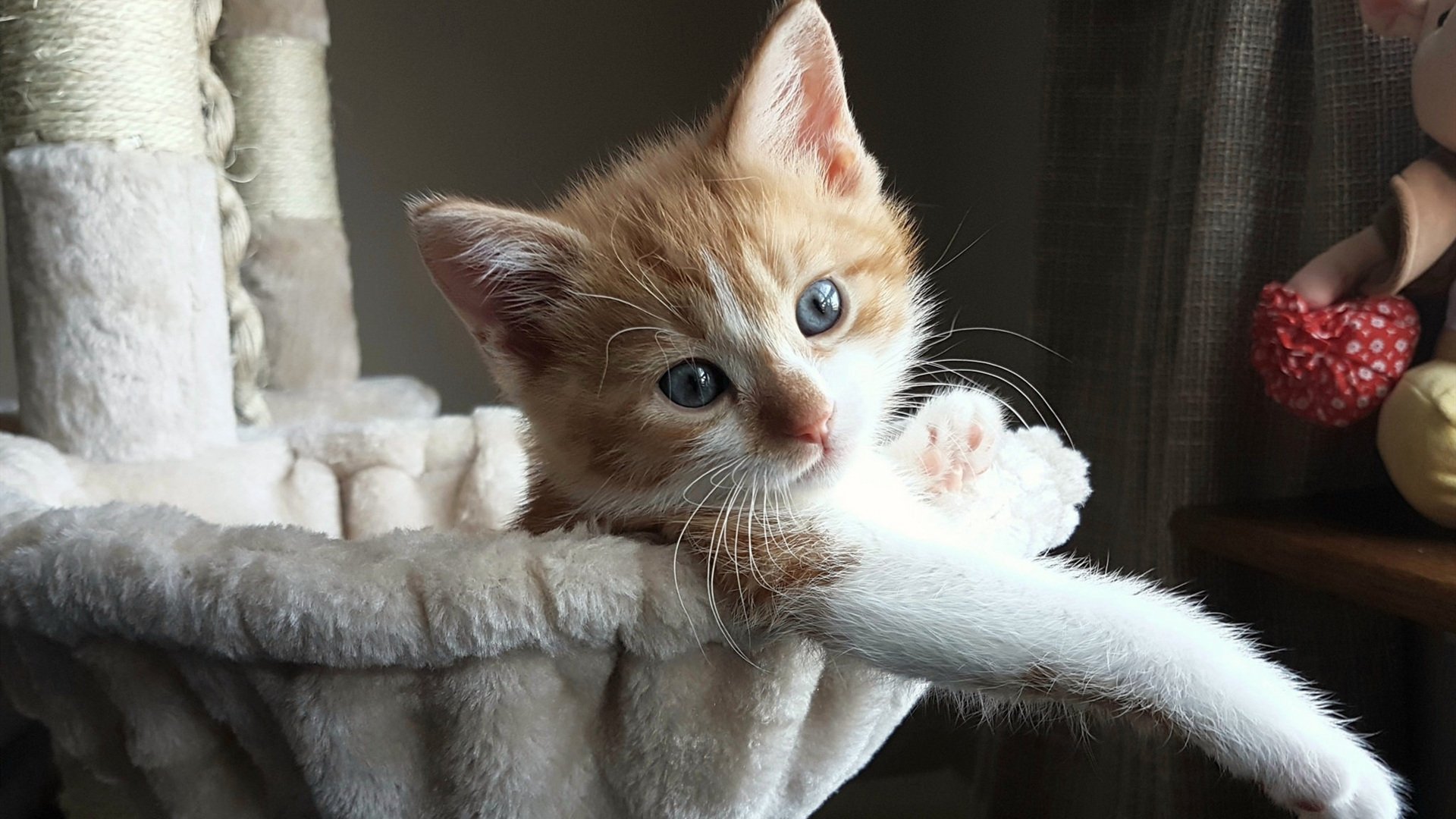 山西汾酒球队体能储备显著提升,山西汾酒队主场