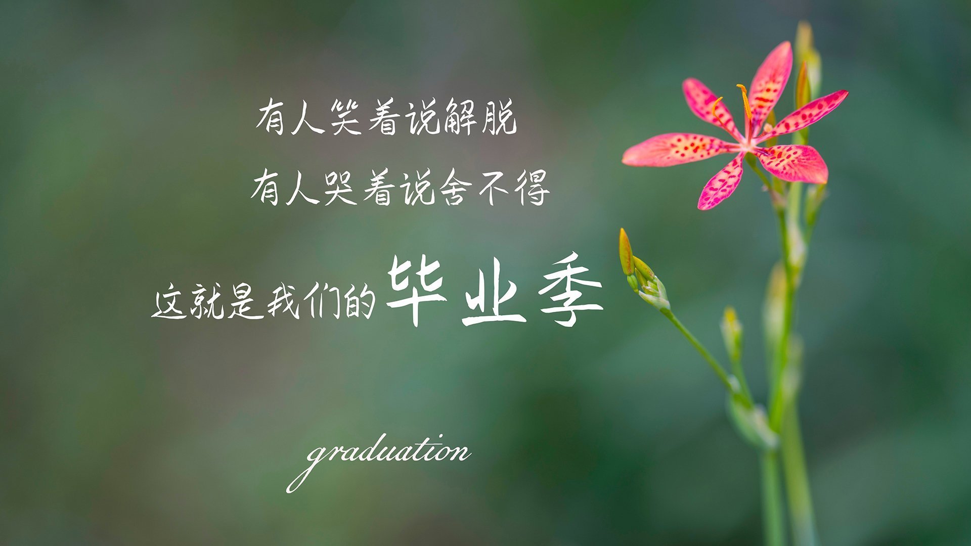 乐鱼娱乐app-热刺客场输给曼联，英超豪门之间的巅峰对决，热刺狂胜曼联