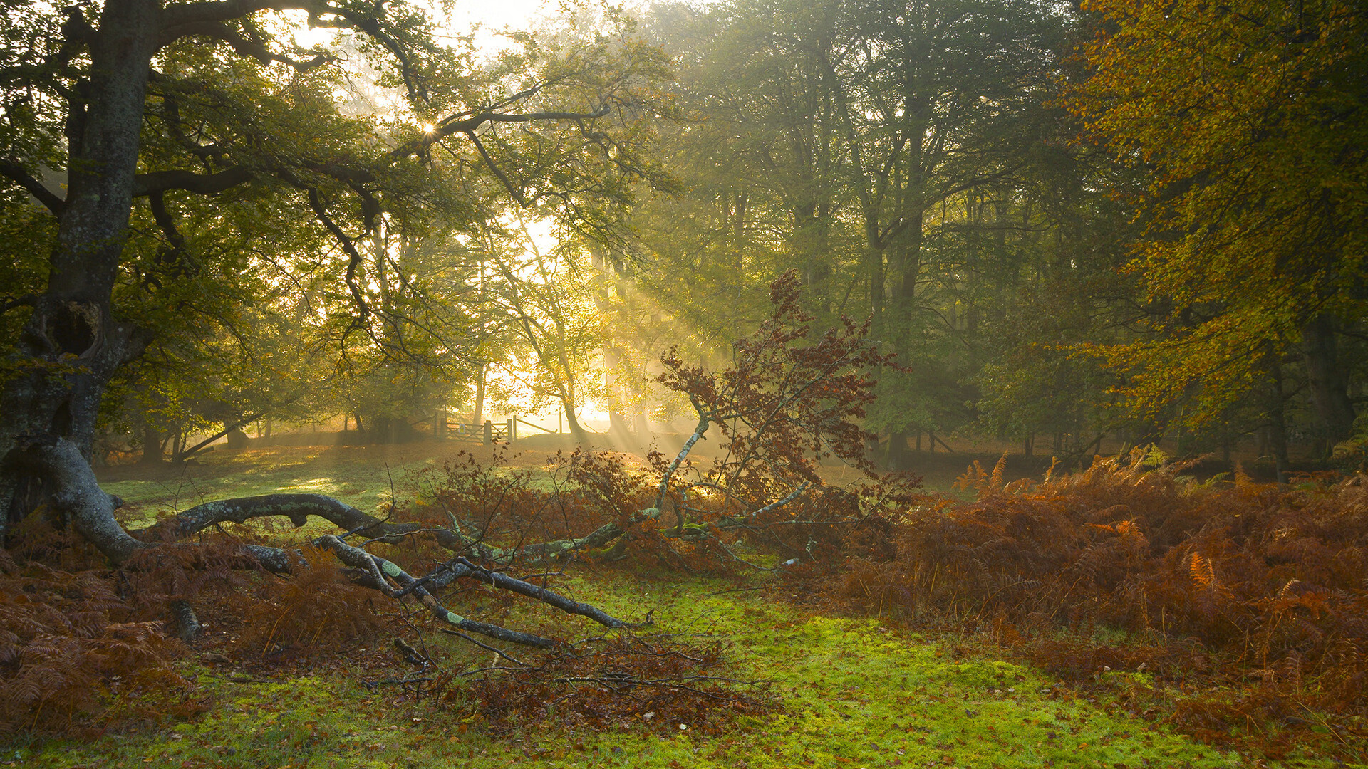 马竞主帅战术妙用，战胜劲旅取得关键胜利，马竞进攻