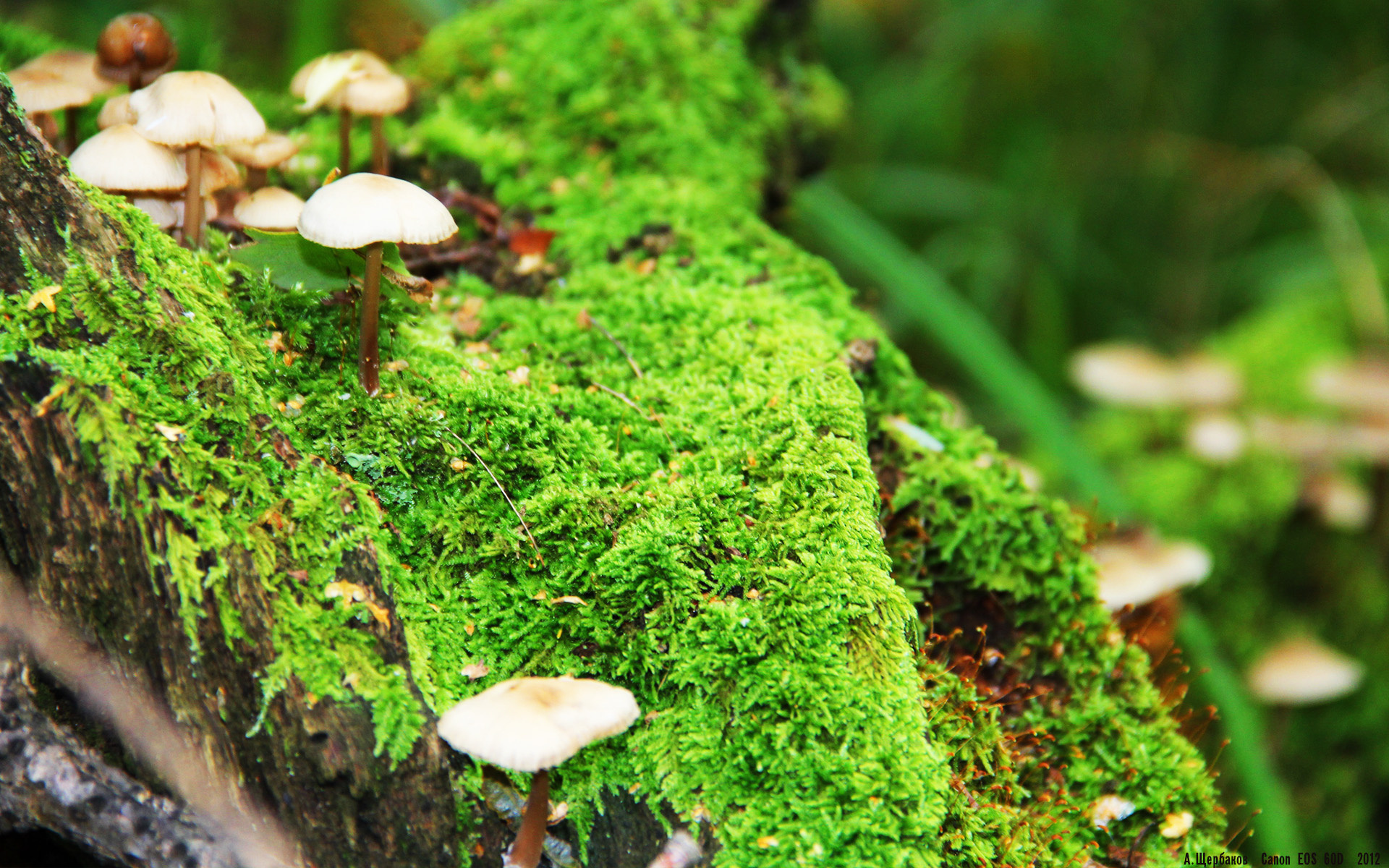 NBA球员伤病管理经验分享,nba球员伤病资讯