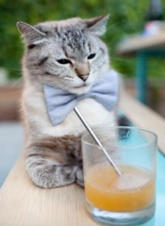 NBA球员训练技术创新应用,nba球员训练技术创新应用研究