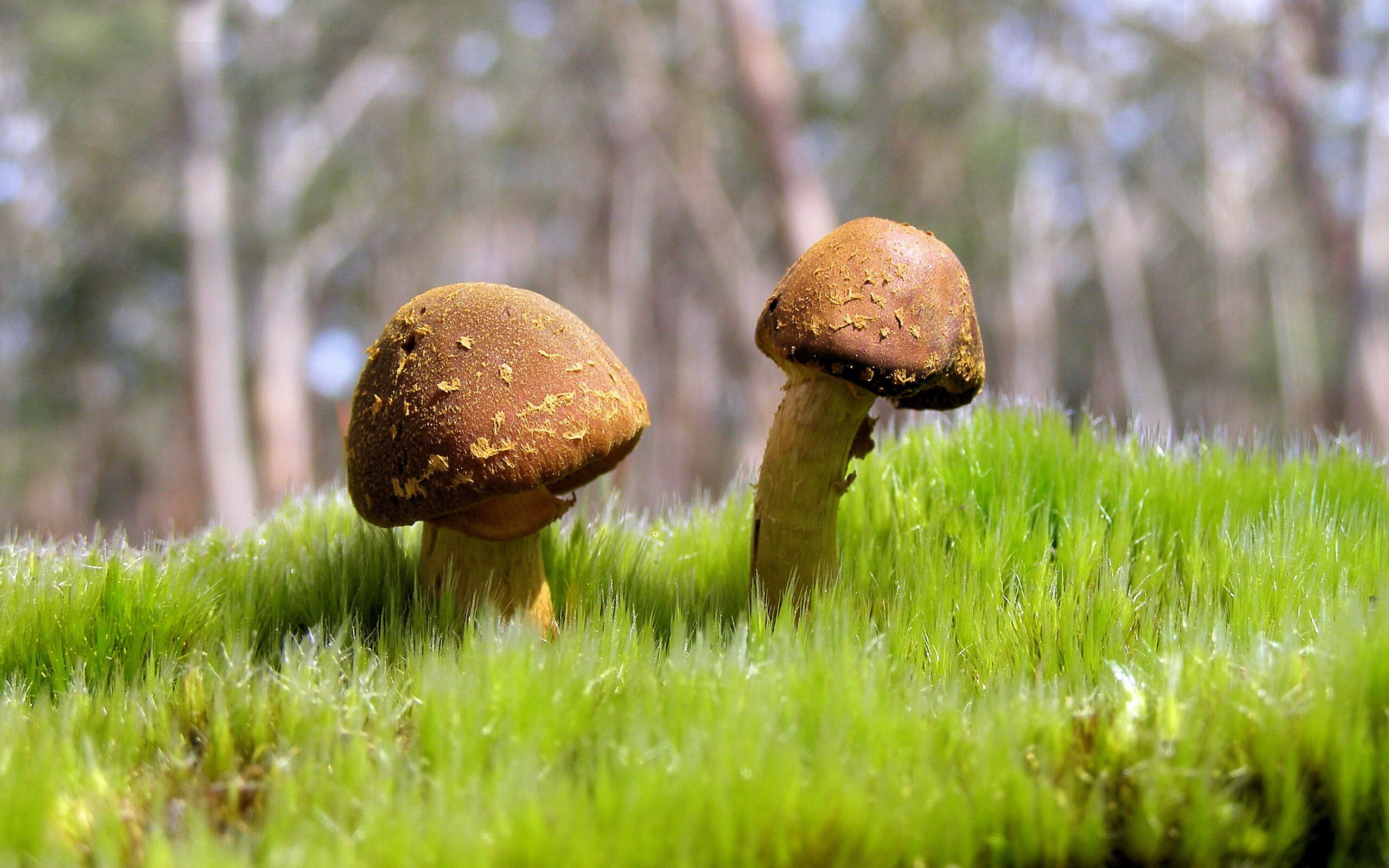 篮球运动员训练负荷监测与科学调控研究，篮球运动员运动负荷量度