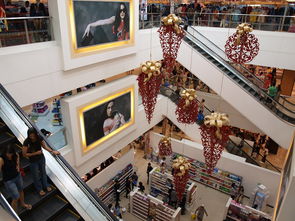 leyu乐鱼官网登录入口-迈向未来：Chinese Taipei团队在国际赛场的崭新发展，chinese of taipei