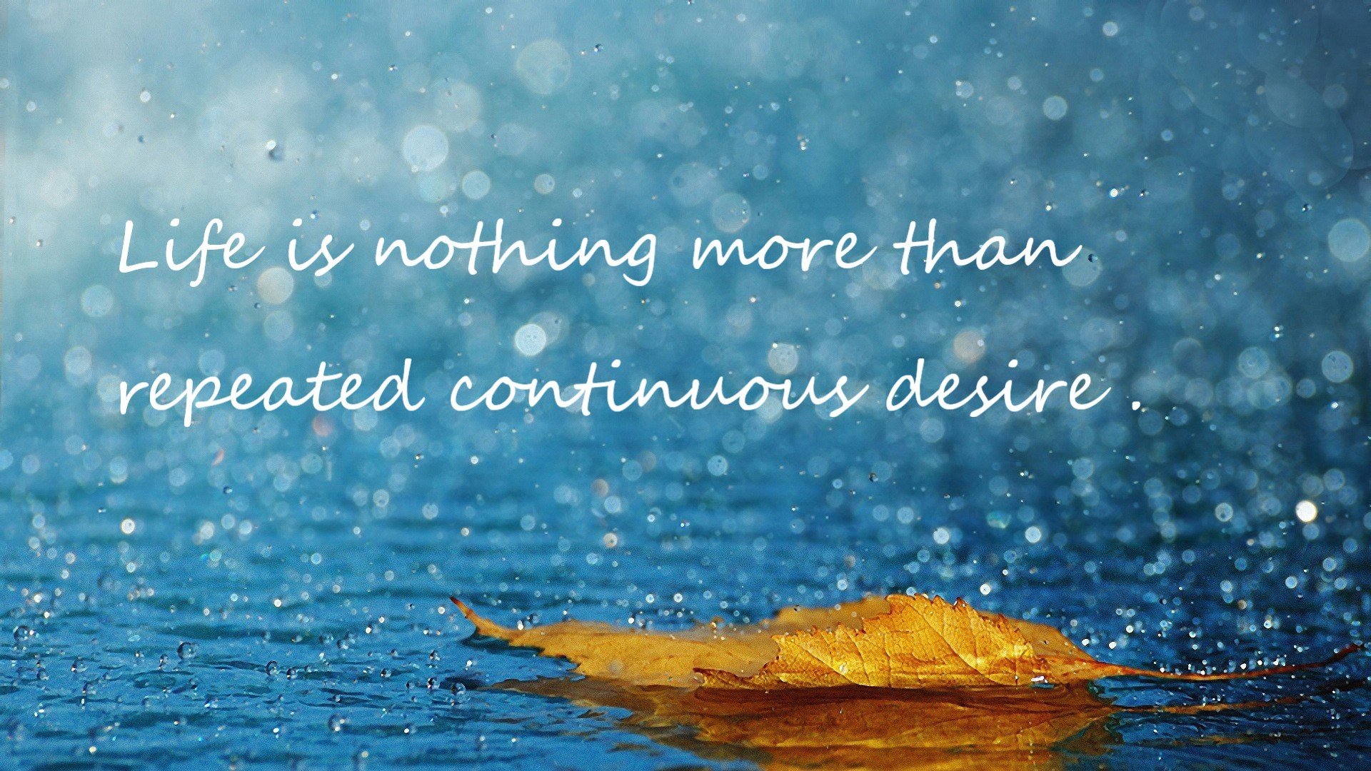 迈向未来：Chinese Taipei团队在国际赛场的崭新发展，chinese of taipei