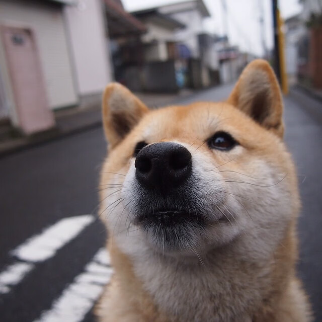 乐鱼电竞在线平台-C罗击掌裁判展现职业风度，c罗 裁判