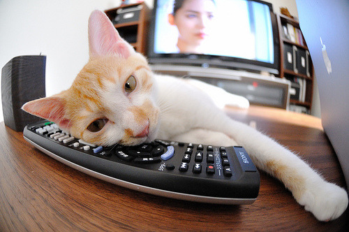 世界杯史诗级一战：攻防博弈胶着中爆发奇迹，世界杯 战争