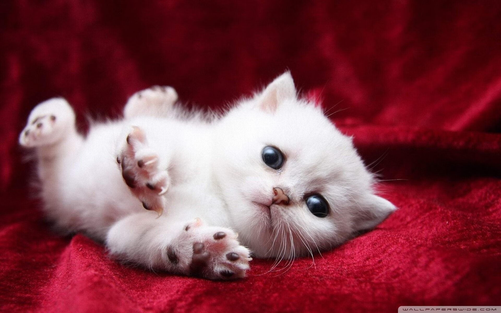 青少年篮球营增加模拟比赛实战操作提升训练效果,青少年篮球队训练视频